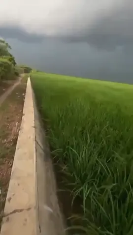 🥲😌#teamcong#imyuboys🏴‍☠️ #imyupride🏴‍☠️ #tarling_indramayu_cirebon #indrmayuvirall 