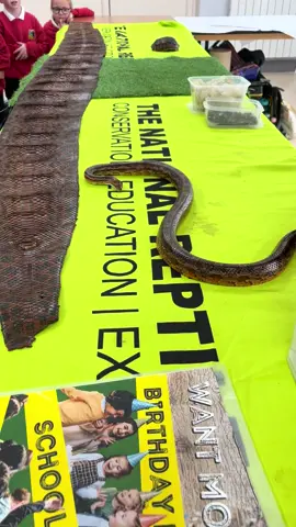 Kids are loving the snakes 🐍🐍😍😍