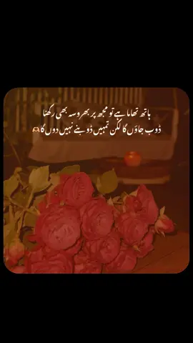 Agr tm smjho to. 🫶🏼❤️‍🩹😒 #foryoupage #fyp #urdupoetry #hanzala_writes05 #asthetic 