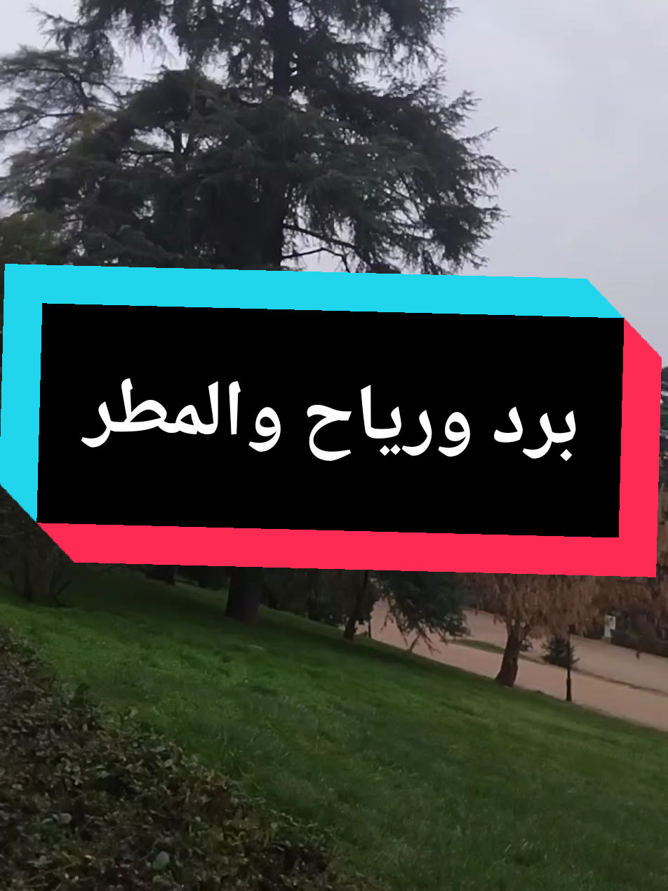 #صلى_على_رسول_الله_صل_الله_عليه_وسلم 