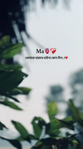 Ma🫀❤️‍🩹মা তোমাকে হারাতে চাইনা কোন দিন..!!❤️#fyp #Love 