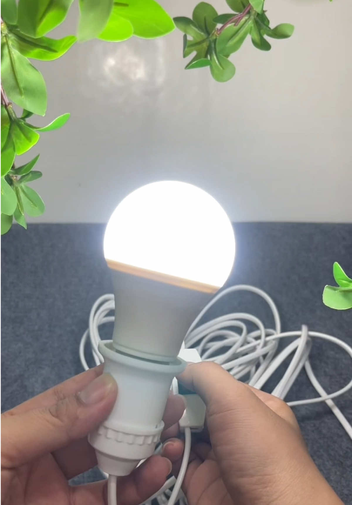 Đui đèn liền dây công tắc và phích cắm #daydienliencongtac  @Lý Ngọc Gia Dụng 