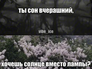 - хочешь солнце вместо лампы // #музыка #футаж #песня #vibe_ice #speedsongs 