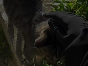 باوەڕ بە گەڕموو گوڕی سەرەتا مەکەن🌚!#xatun_heva #foryoupage #foryou #fypシ #islam @TikTok 