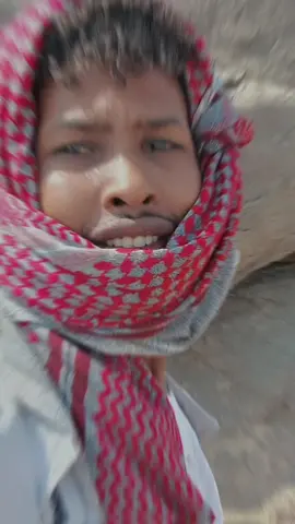 #CapCut #جخو،الشغل،دا،يا،عالم،➕_❤_📝✌️🌍🦋 #للعقول_الراقية_فقط🤚🏻💙 