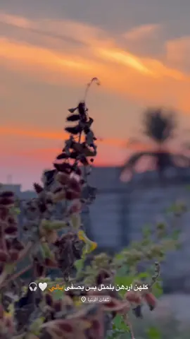 كلهن أردهن بلمثل بس يصفى بالي….🤍🔥#تصيمم_فيديوهات🎶🎤🎬 #تصويري_احترافي_الاجواء👌🏻🕊😴 #عتابة_حزيــــــــــــــــن💔🖤  @مـــازن عـســــافメ🦅 