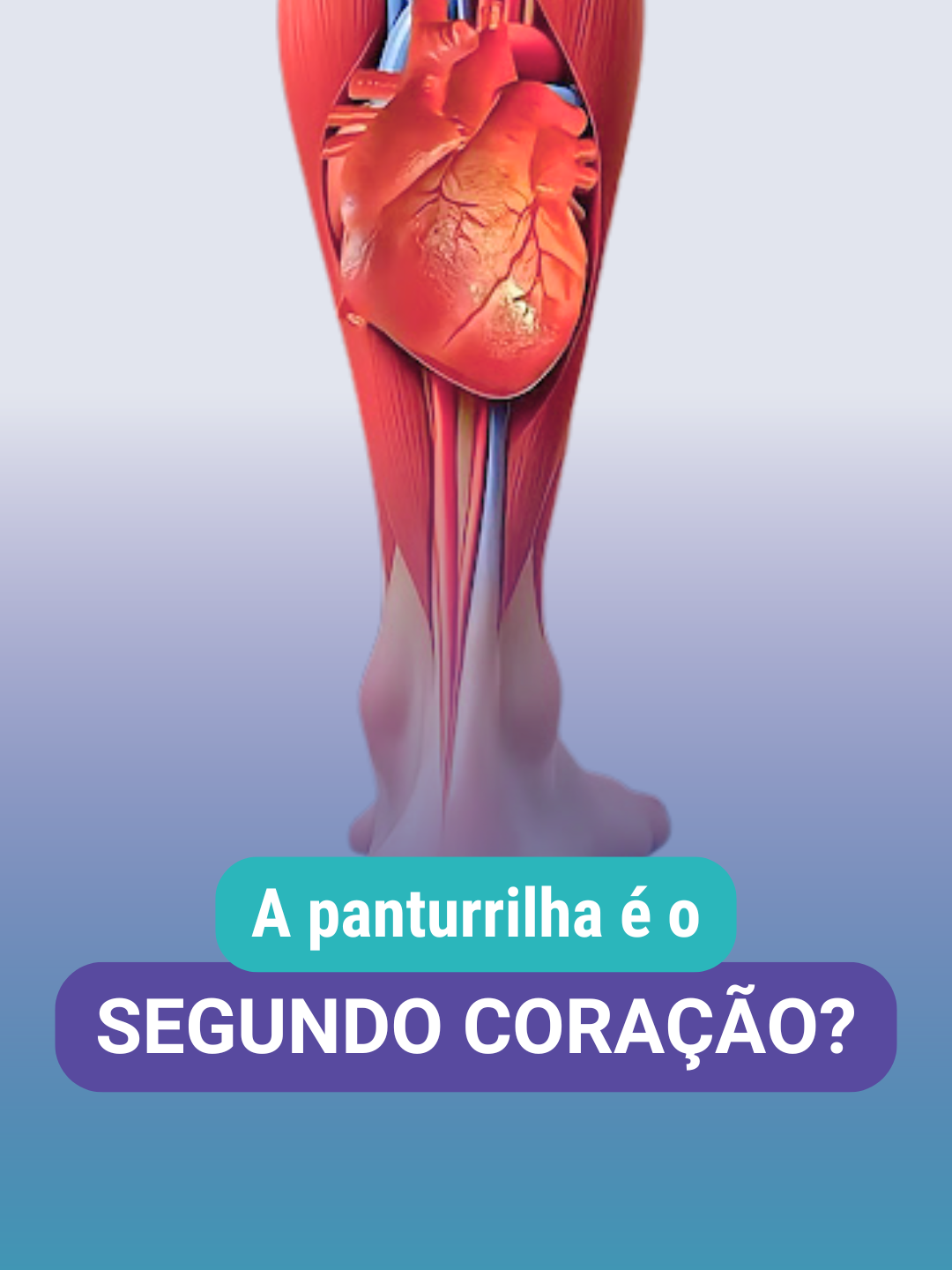 Por que chamam a panturrilha de “segundo coração”? ❤🧐 ⠀ As veias operam com baixa pressão e precisam de ajuda para levar o sangue de volta ao coração. E quem ajuda nesse processo? As válvulas venosas e a contração dos músculos da panturrilha (o sóleo e o gastrocnêmio)! ⠀ Quando esses músculos se contraem, eles comprimem as veias, agindo como uma bomba muscular que impulsiona o sangue pra cima. Legal, né?