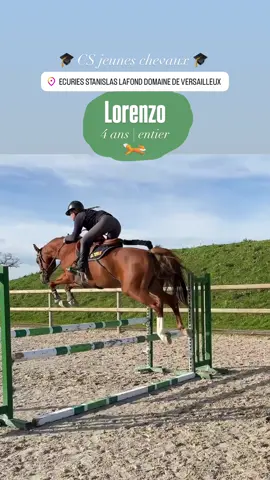 #fypシ゚ #fyp #pourtoii #pourtoi #horse 