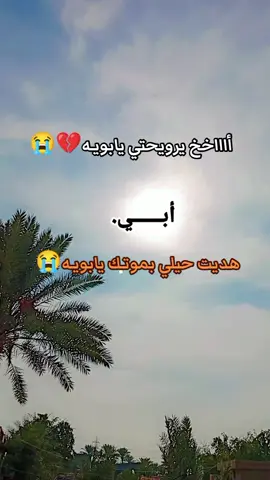#ماينسد_مكانك_سگف_بيت_وطاح💔😭 #فراق_الأب_وجع_لا_ينتهي😞🙇🏻‍♀️😭 #يتيمه_الاب💔😔هديت_حيلي_موتتك_يابوية #الحزن💔عنواني💔ــہہہــــــــــہہـ👈⚰️،،، 