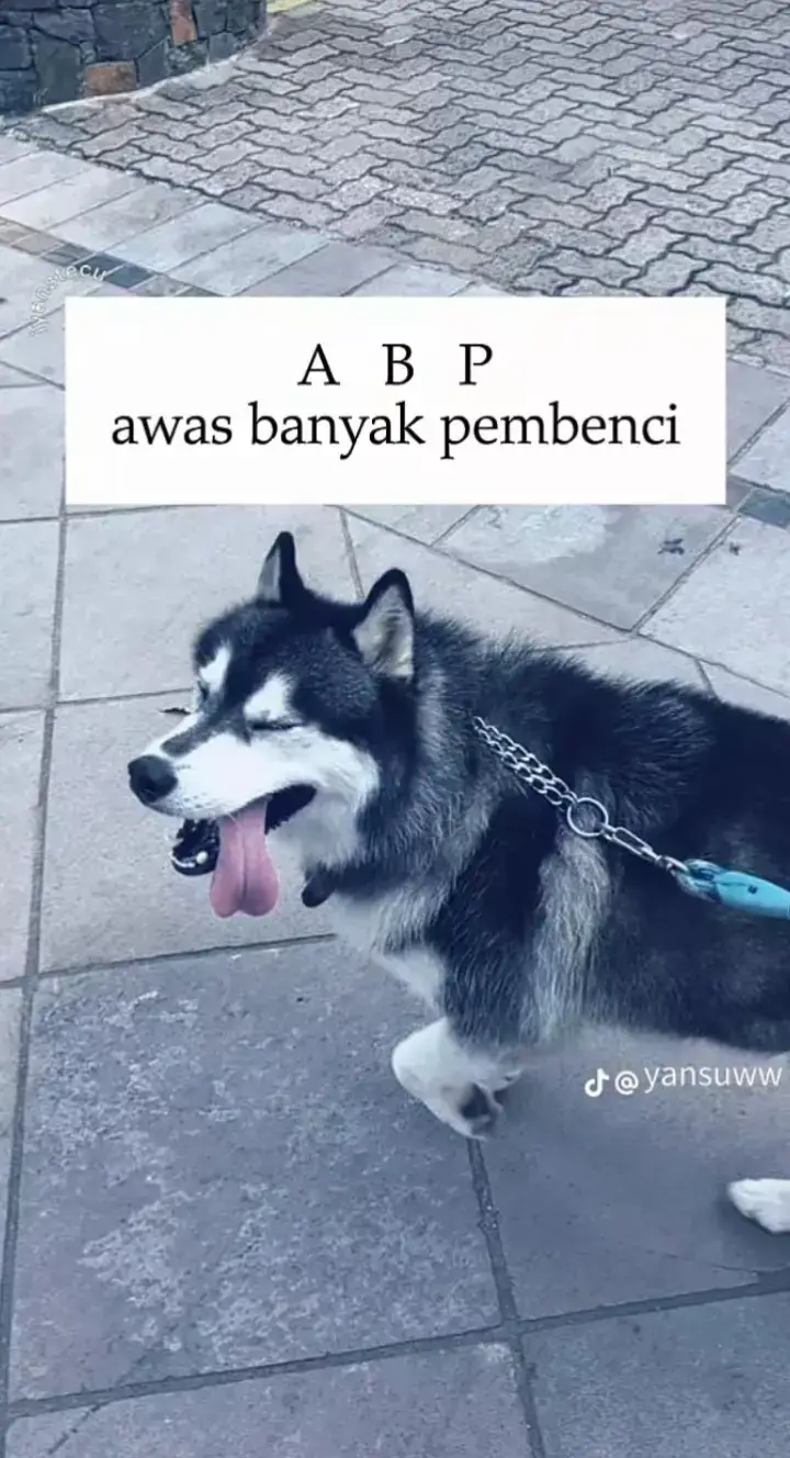 awas ada pembeci  #fyp #xybca #foryou #bangkaselatan  #bangkabelitung 