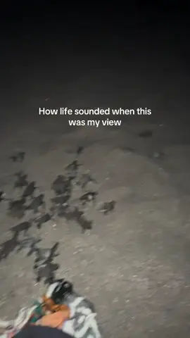 Life really just happens