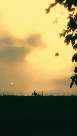 කාලයත් එක්ක සෙනෙහසත් පාවෙන්න පටන් ගන්නවා සමීපව සිටින හැමෝම සදාකාලික වෙන්නෑ.🌿 #ashinsadamsara #foryou #foryoupage #fyp #polonnaruwa 