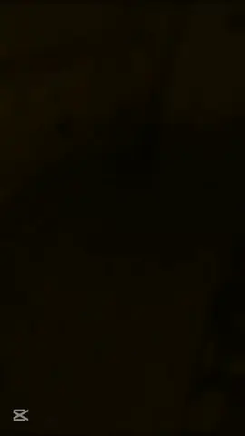 #الشعب_الصيني_ماله_حل😂😂 #تيك_توك #الوطن_العربي #العراق 