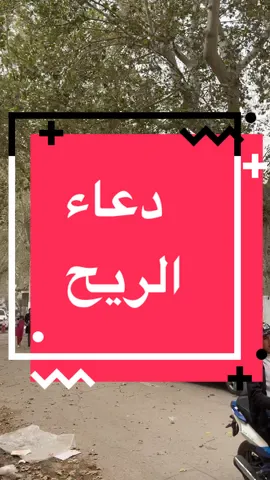 دعاء الريح #دعاء #مسلم #تلمسان #جو #دار_العفة 