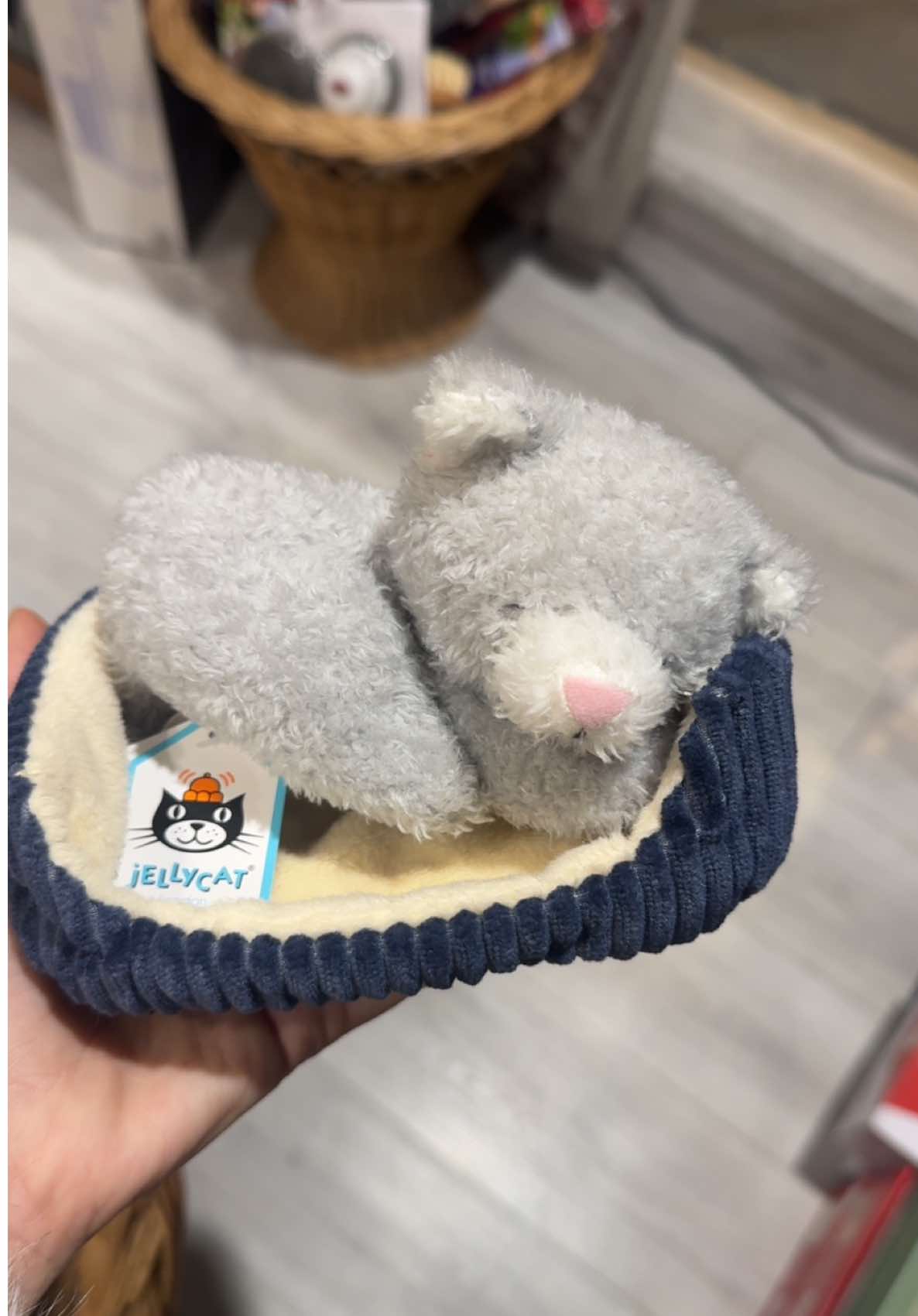 Found the cutest shop full of rare Jellycats 🌈☁️ Which one would you take home? @Jellycat #jellycatcollection #jellycat #jellycathaul #rare #retired