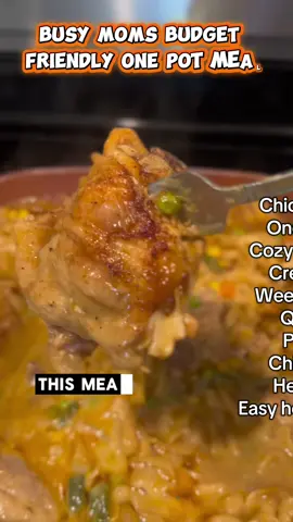 Busy moms budget friendly one pot chicken and noodles bake.#onepotmeals#creamy#pastarecipe#easydinnerideas#chickenrecipe 