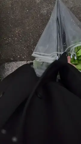 有時我獨自坐著，會想很多事情，然後就會為自己感到疲憊、悲傷、突然間眼淚湧上眼眶，但我迅速用手擦掉，不敢讓它們掉下來。我不敢哭，我不敢放棄，因為我害怕自己會摔倒再也爬不起來#taiwan🇹🇼 #xuhuong #xuhuo #fyp #tiktok 