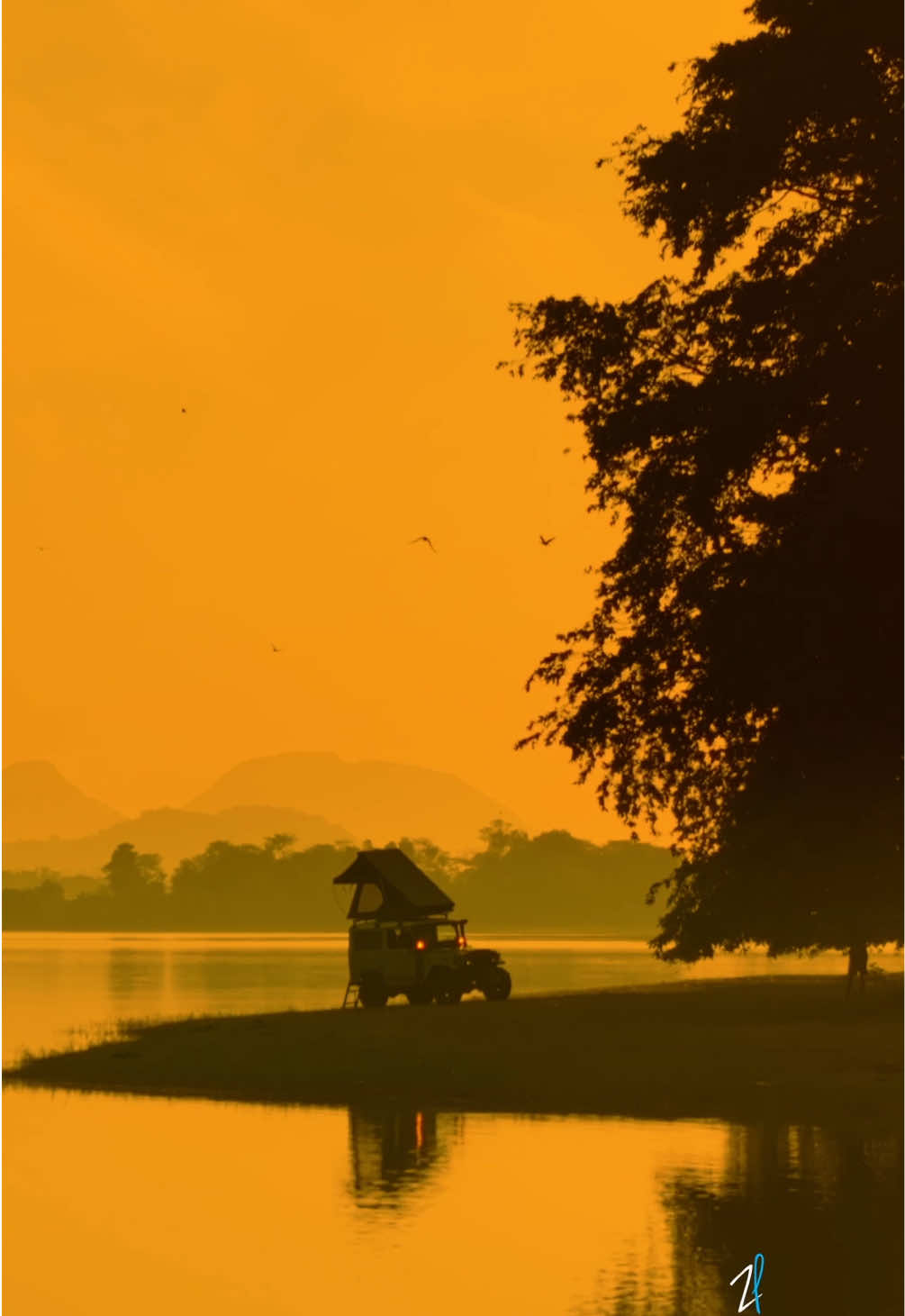 Who would you love to travel to Sri Lanka with? 🌴✨ Tag them below,  I’ll be sharing some of the most beautiful hidden spots across this island paradise to you! 🇱🇰💚 Sri Lanka is not just a destination it's nature's Paradicse 🇱🇰🍃 From misty mountains and cascading waterfalls to golden beaches and lush tea gardens, every corner tells a story of beauty and serenity.  Wander through ancient temples, vibrant villages, and wildlife-filled jungles, and you’ll discover an island that feels alive in every sense. Sri Lanka isn’t a place you simply visit  it’s a feeling you’ll never forget. 🇱🇰✨ 📸 @amalprasad / @zonchophoto 📍 Sri lanka 🚫Commercial Reposts Not allowed without permission 🙏 Sharing is always welcome and appreciated! #TravelSriLanka #visitsrilanka  #mountains #ExploreSriLanka #IslandParadise        