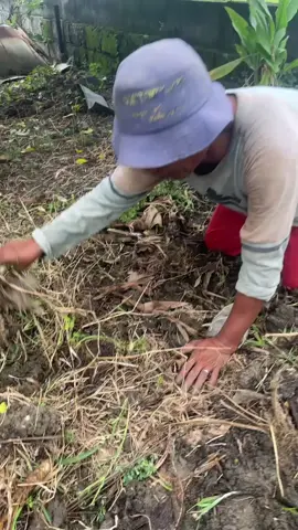 #jaranan #wongkoplek#ndadi