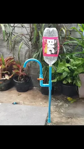 #foryoupage #viral #creatorsearchinsights 