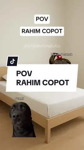 Rahim copot versi full 😭🙏 . . #kucing #cingkucinglucu #memekucing #meme #rahimcopot 