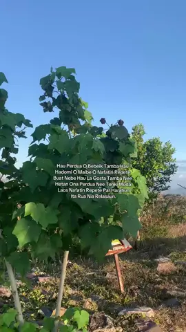 #kharves #said #familiaqftl🇹🇱 