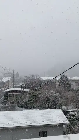 Saya orang yg berasal dari kampung dan sangat bahagia bisa melihat salju pertama ku di jepang #winter #fuyu #fyp 
