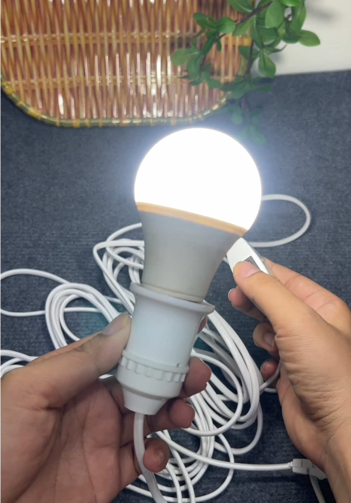 Đui đèn liền dây công tắc và phích cắm #daydienliencongtac 