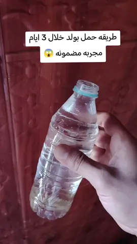 #وصفه #الامام #الصادق #حمل #ولد 