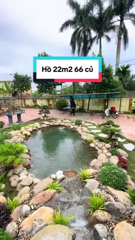 Hồ koi lọc tự nhiên sẽ phù hợp cho các khách chơi cảnh quan và yêu thiên nhiên#dhteam #hokoiphuongphaptunhien #hokoiloctunhien #hokoidep #xuhuongtiktok 