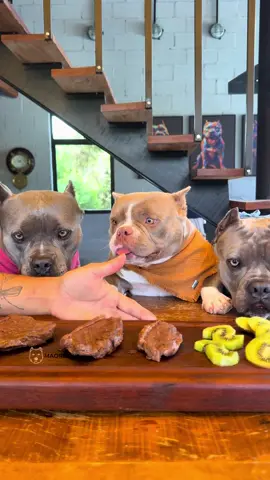 Picanha de Petisco 🤩🐾