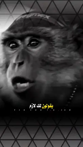 #عبارات #tylerthecreator #تصميم_فيديوهات🎶🎤🎬 #قصف_جبهات😎 