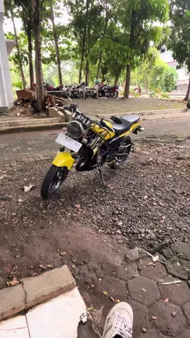 #ninjass #twostroke #2stroke 