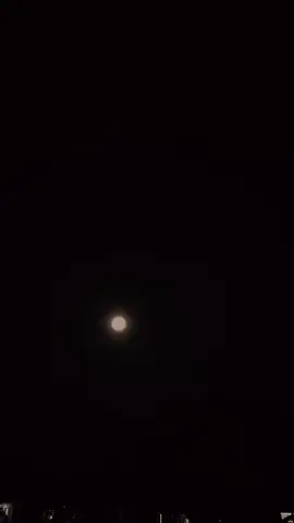 #capcup dimana #fase #🥀 