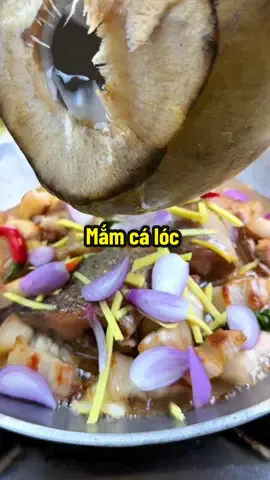 1Mắm Cá lóc Miền Tây . Đặt sản Đồng Tháp . Thơm ngon tiện lợi .Có Thể Nấu Nhiều Món . Như Mắm Kho .Mắm Chưng .Lẩu Mắm .Điều Ngon Nha Cả Nhà .#livehighlights #Love #toktok #ngocbich976 #amthuc #foodtiktok #ngocbichbuacomhangngay  @Ngọc Bích 9..76 @CơmNhà Thoa 