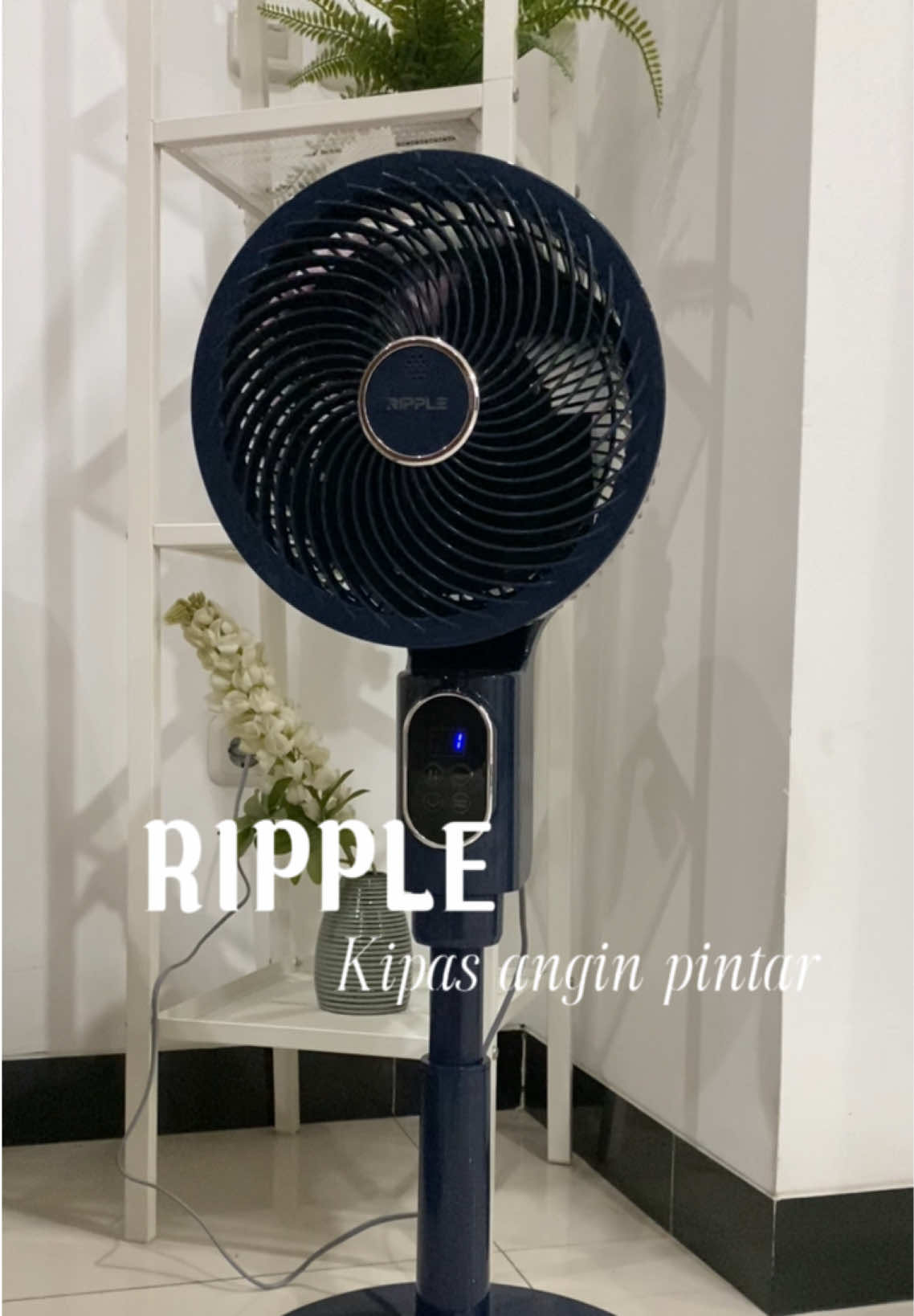 #kipasangin #kipasanginviral 