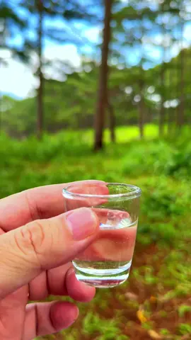 Ký ức chênh vênh bên ly rượu đắng, Say một đời để quên… lại nhớ thêm. #chill #dalat #dulich #chillwithtiktok #dran 