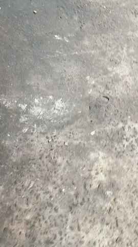 info nya dong kaka👋😁#vegastelmedan #5tpgank🚀 #liarantandem1000m #vegastelserge #5tpmenolakpunah 