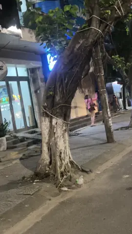 khômg biết thế giới ngoài kia yêu nhâu kiêu gì nữa 🤣
