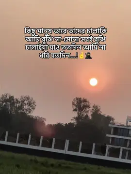 কিছু মানুষ ভাবে তাদের চালাকি আমি বুঝি না-সোনা সবই বুঝি চালাইয়া যাও ততদিন আমি না ধরি যতদিন...!🤞🥷#foryou #foryoupage #tiktokbd 