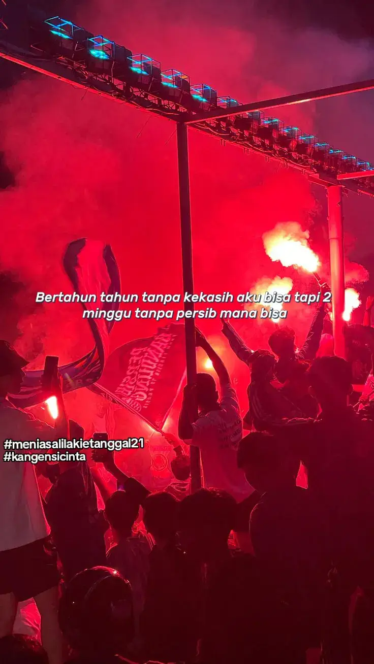 #persib #persibbandung #fypp #1933stillalive 