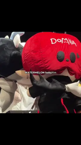 HAGGAHAHAGAGA WATERMELON #perthsanta #perthppe #santapp #domiia #fyp 