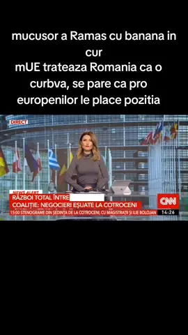 mucusor banana in cur, Romania perde bani pnrr, cum sa faci rost de bani europeni, 