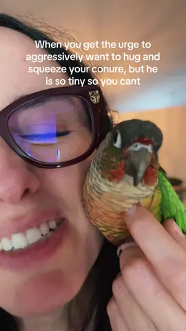 Me lo como #greencheekconure #parrotsoftiktok #cotorra #bird #birdlady 