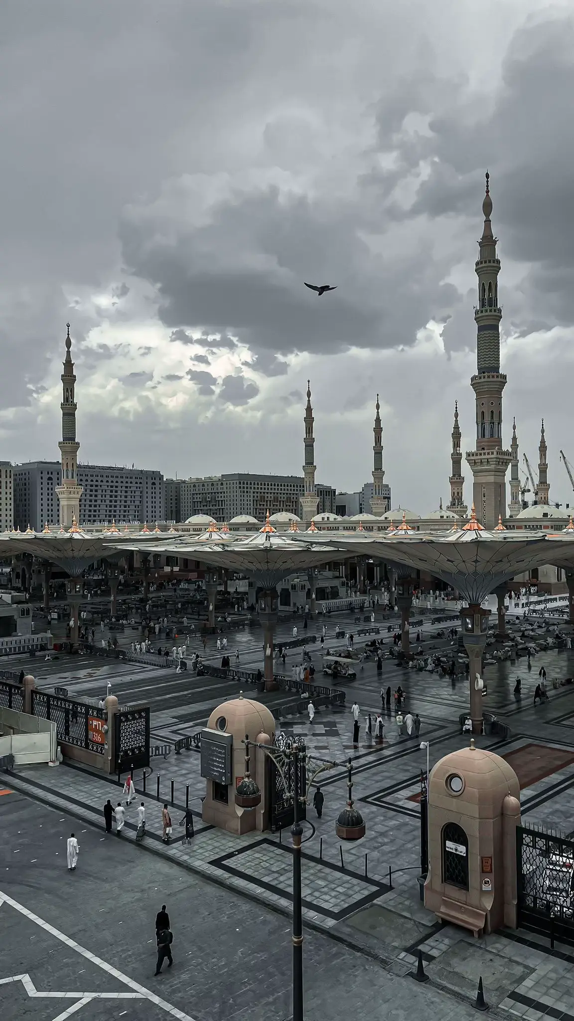 خلفيات فخمة وجميلة للمسجد النبوي الشريف #hdwallpapers #خلفيات_فخمة #المسجدالنبوي #المملكه_العربيه_السعوديه🇸🇦 #السعودية_العظمى🇸🇦 