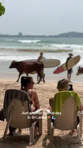 Just another normal day in Sri Lanka 😎😬 #srilanka #views #weligama #fyp 