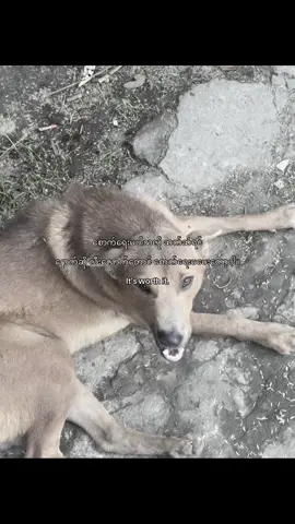 #It’s worth it.📌 #taytux4 #fouryoupage #1millionaudition #viwesproblem 