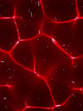 welcome back MR president🤝🫡👑//tabar maheesin nasta, naga nasta waa daalantihine😂🫵🤝//repost sxpyaal🤝🫡🙏#capcut #somalitiktok #viral #wilkasomaaliyet #farmaajo 