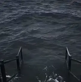 đừng anh ơi :)))) #xuhuong #meme #memestiktok