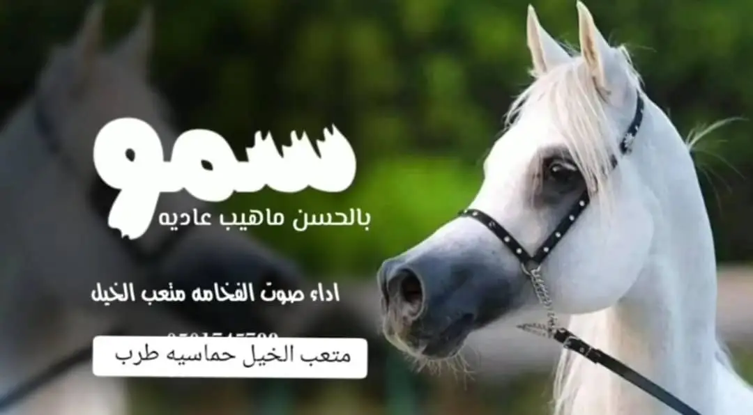 السعودية -//0536512459 قطر الامارات #الكويت  #الكويت //00966566886937 السعوديه ##للطلب الشيلات والزفات التواصل معنا وتساب د اخل_المملكه #شيلات_زفات_تخرجات_مواليد_عقد_قرآن_مولو ده_مولود_شيلات_خروج_من_السجن - شيلات - شفاء_وسلامه شيلات_تقاعد_تخرج_ملازم_تخرج_ملازم_تخرج_عسكري_تخ رج_من_الدفاع_المدني_الكويت_قطر_السعودية_الامارات_البحرين_الكويت_الرياض_المدينه_ابها_شيلات_حماسيه_طرر_ام_ العروس_شيلات_ام_العريس_شيلات_عرسان_شيلات_ام_العر وس_شيلات_ام_لعروسه_شيلات_خطوبه_زفات_بالاسماء_زفا ت_بدون_اسماء_كتابة_كلمات_جديدة _0536512459من_خارج_المملكه_ 00966536512459- استديو روائع زفات غناءالخليج _لتنفيذ_الشر يلات_والزفات والقصائد0566886937 الشعريه_لجميع_المناسبات_شيلات_ مهنا_العتيبي تنفيذبالاسماء0536512459// فهاد_العلي_النايف_فواز_العنزي_شيلات_بنت_ا بوها_شيلة_شامخه_بنت_ابوها_الرياض_جده_مكه_المكرمه_اد ها_قطر_البحرين_الكويت_الامارات_شيلات_سعد_محسن_شي لات_ناصر_السيحاني_شيلات_عز_السعود_شيلات_قايد_الوبير ي_2024_شيلات_فلاح المسردي_شيلات_الجفراني_شيلات_ بندر بن عويد_فهد_بن_فصلا_محمد_بن_غرمان_جديد_كتابة _كلمات جديدة 0566886937من خرج المملكه 00966536512459 استديو روائع زفات غناء الخليج #للطلب_الرابط_بالبايو📥 